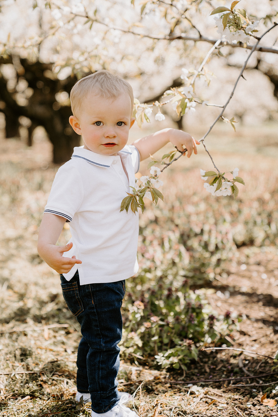 Toddler standing and touching a branch.