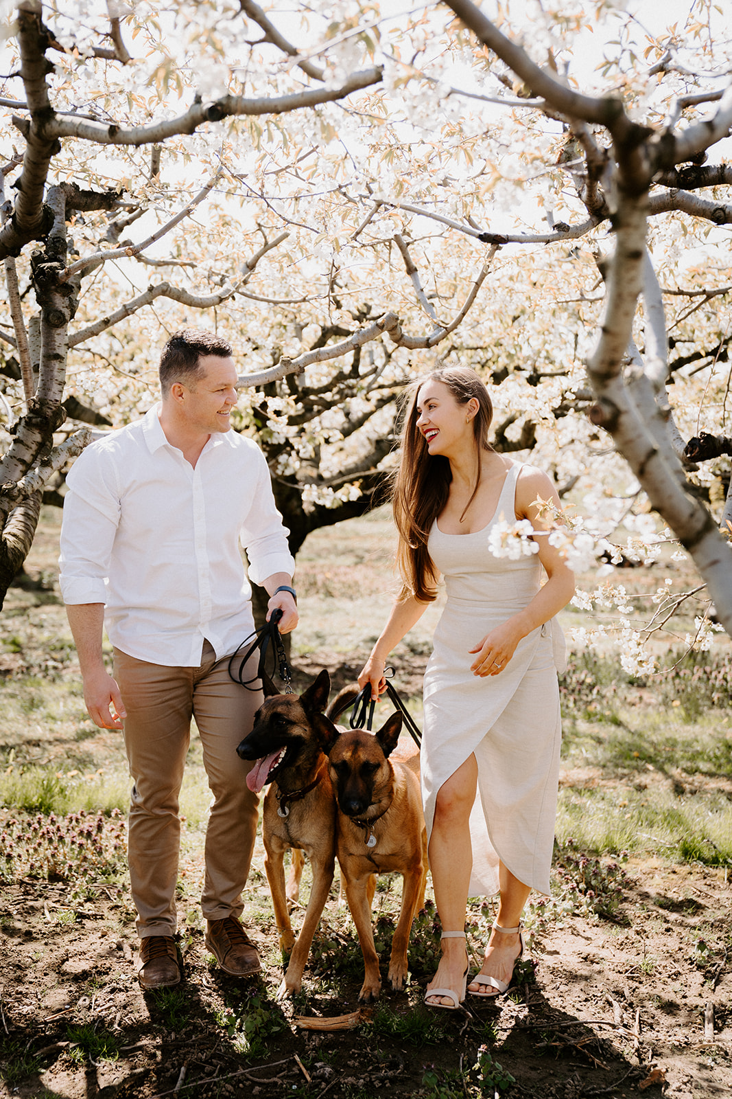 A couple and two dogs standing underneath a cherry blossom tree and looking at each other.