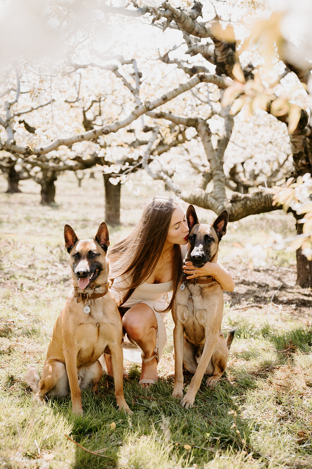 Woman with two dogs sitting.  Woman has arms wrapped around both dogs while kissing one of them.