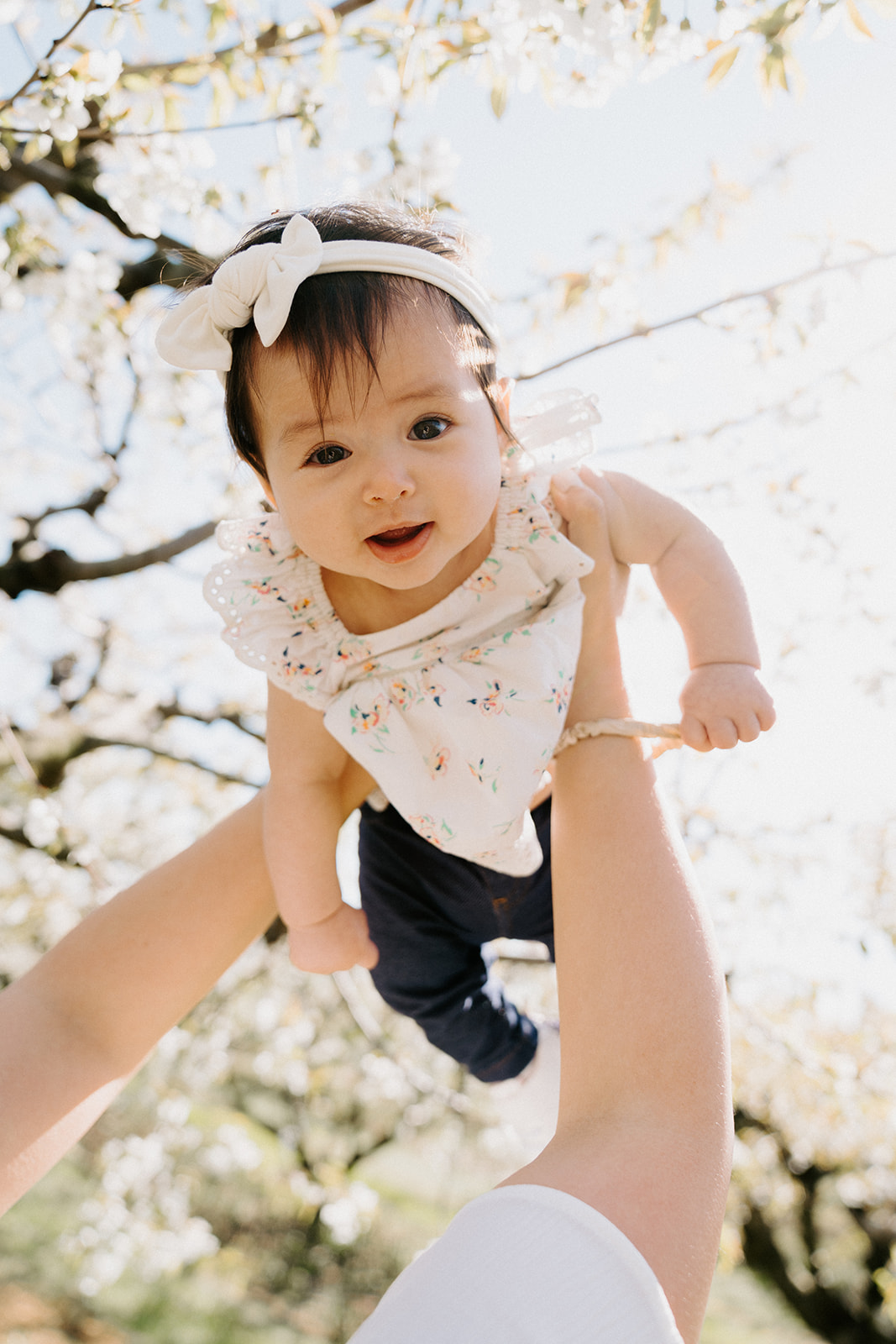 Baby girl is being held up with two arms with cherry blossoms in the background.