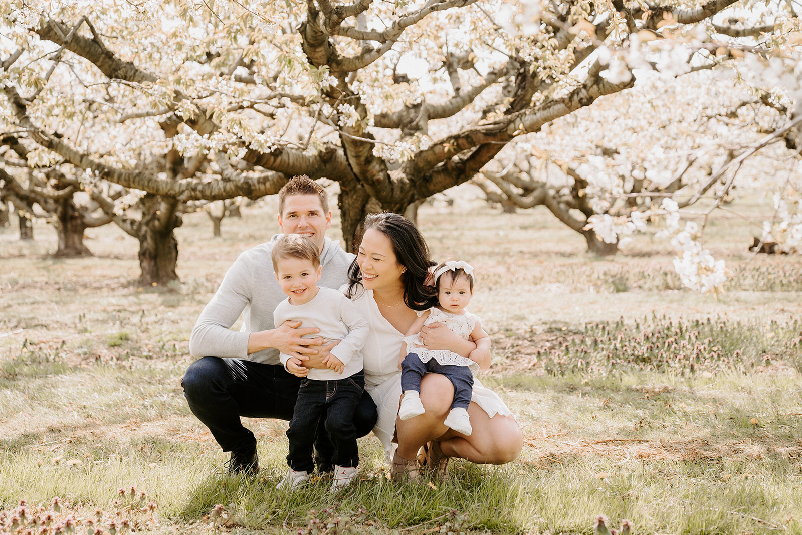 Family of four sitting under a cherry blossom tree.