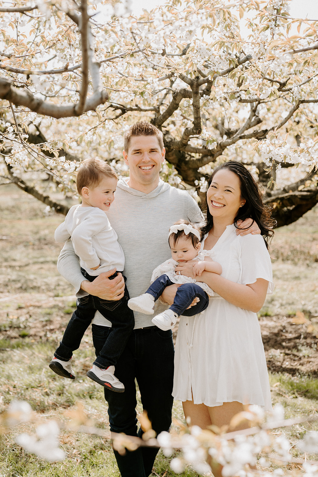 Family of four standing underneath a cherry blossom tree.