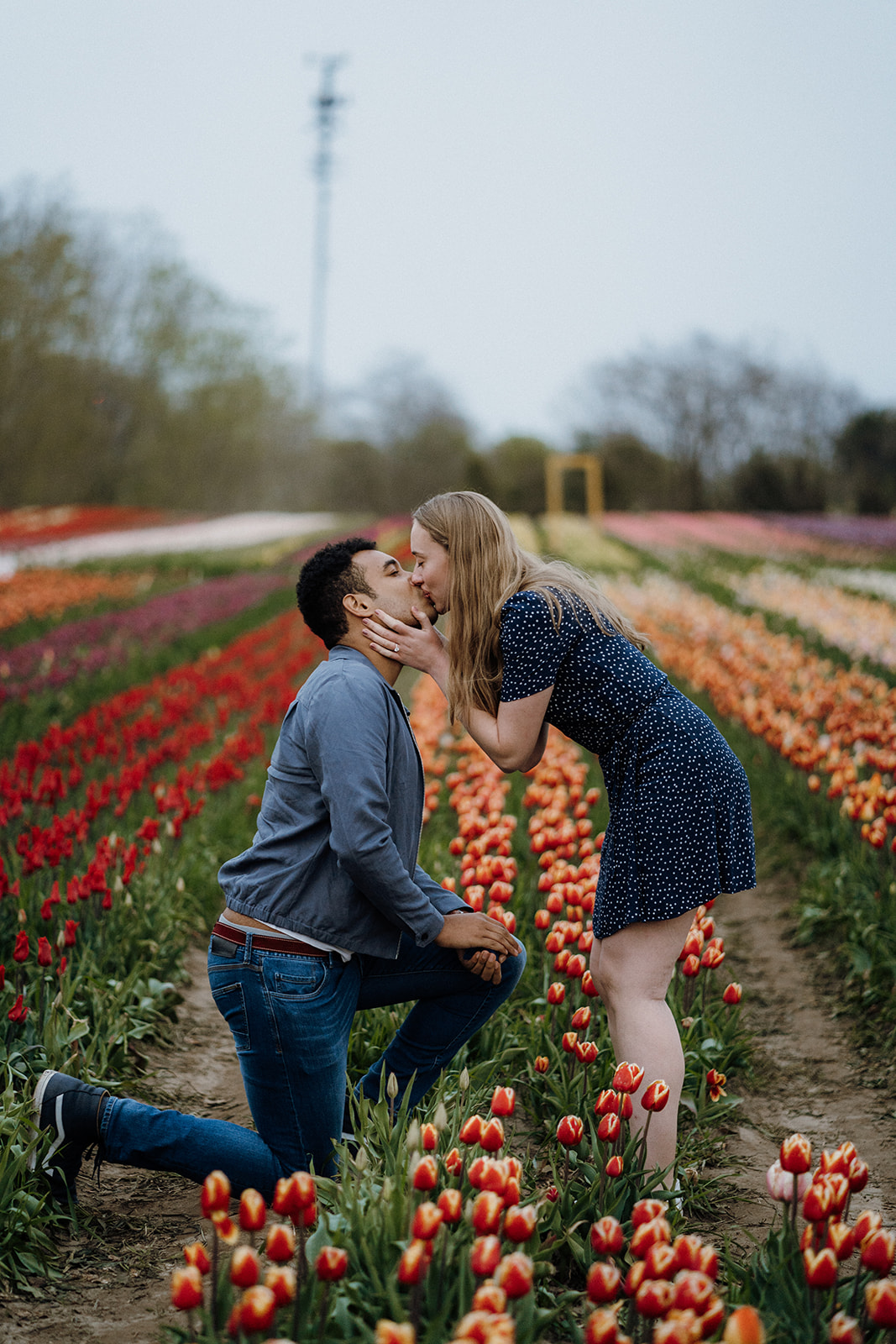 Man kneeling in tulips while his fiancé kisses him.