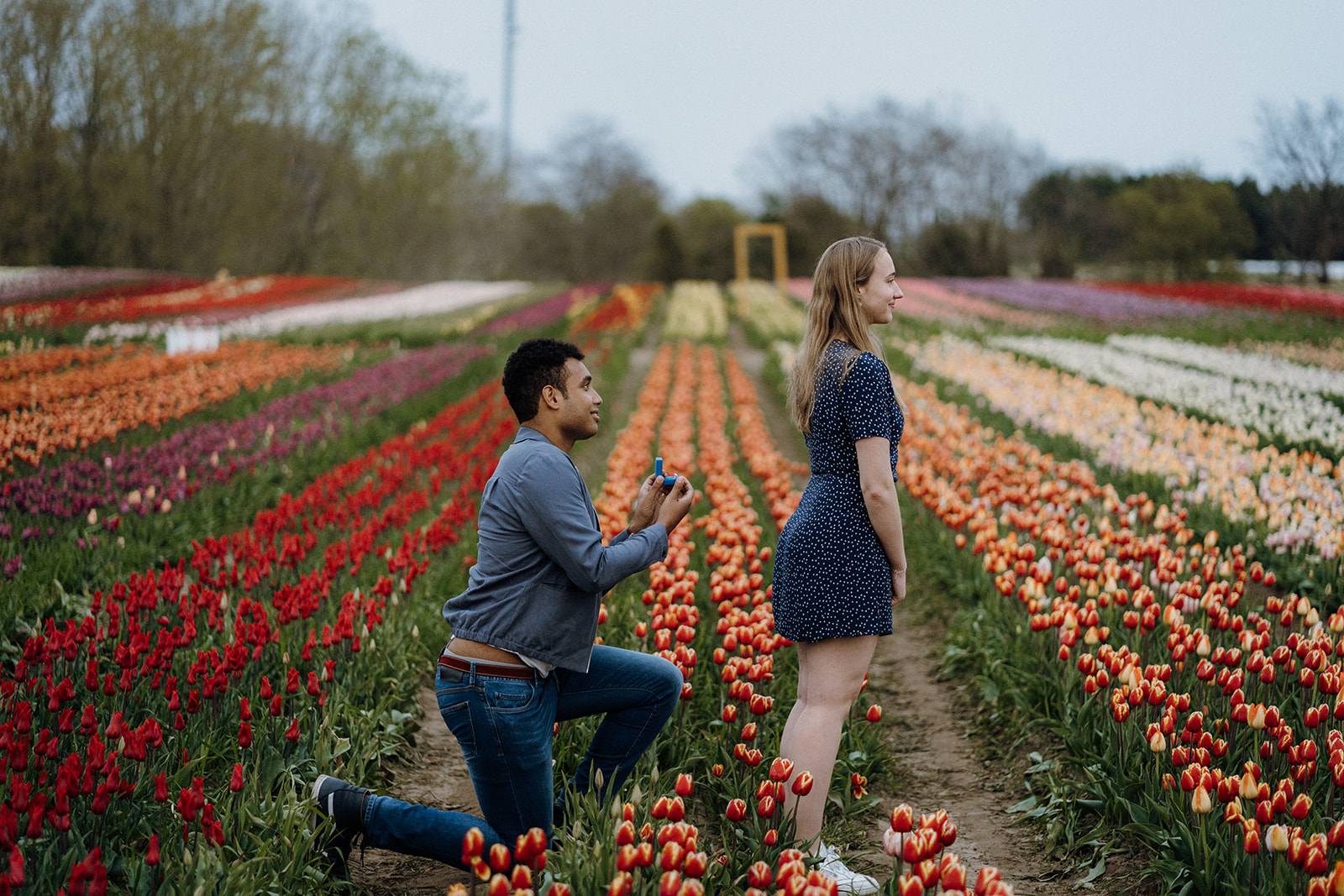 Man kneeling in tulips with his girlfriend facing the other way.