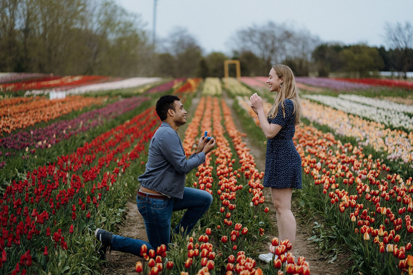 Man kneeling in tulips while his girlfriend looks at him smiling with her arms up.