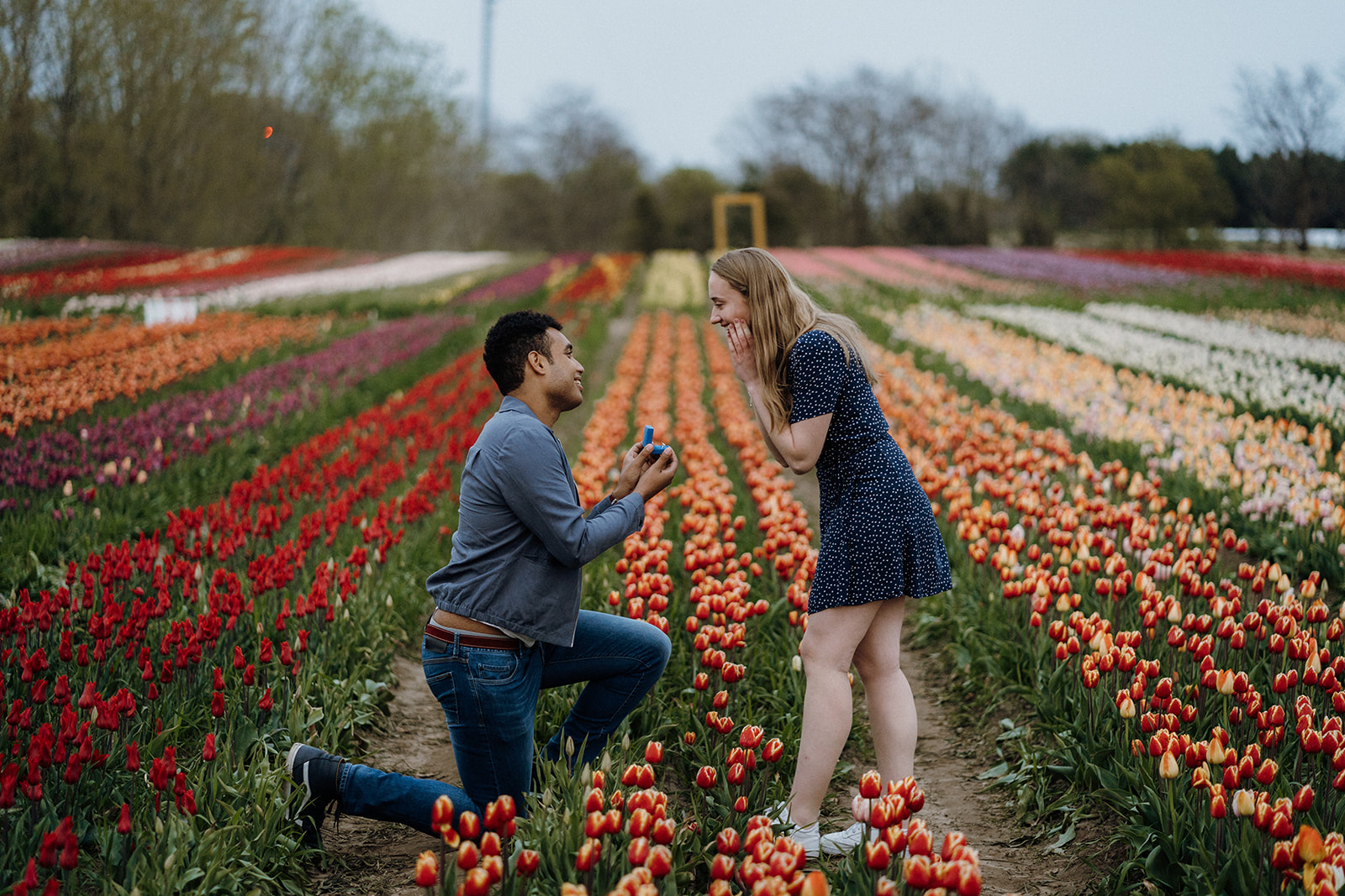 Man kneeling in tulips while his girlfriend looks at him smiling with her hands on her cheeks bending down.