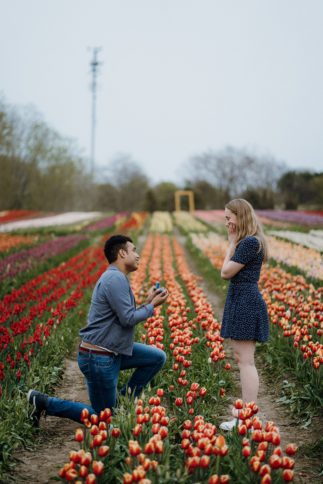 Man kneeling in tulips while his girlfriend looks at him smiling with her hands on her cheeks.