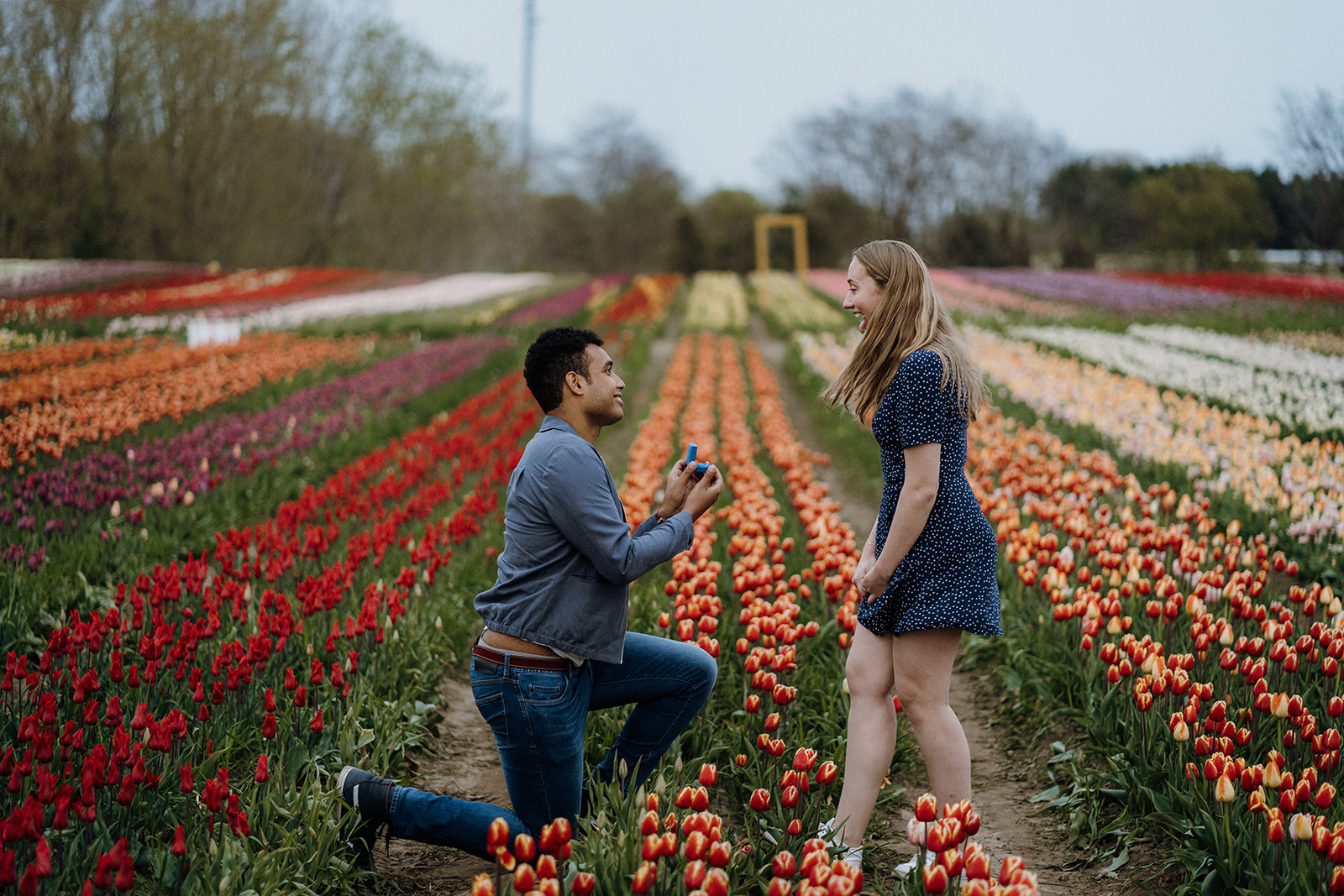Man kneeling in tulips while his girlfriend turns around and smiles.