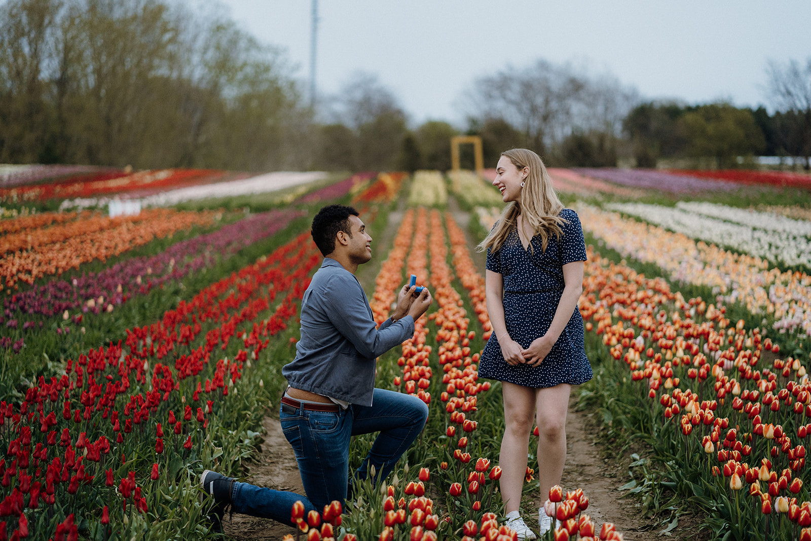 Man kneeling in tulips while his girlfriend turns around.