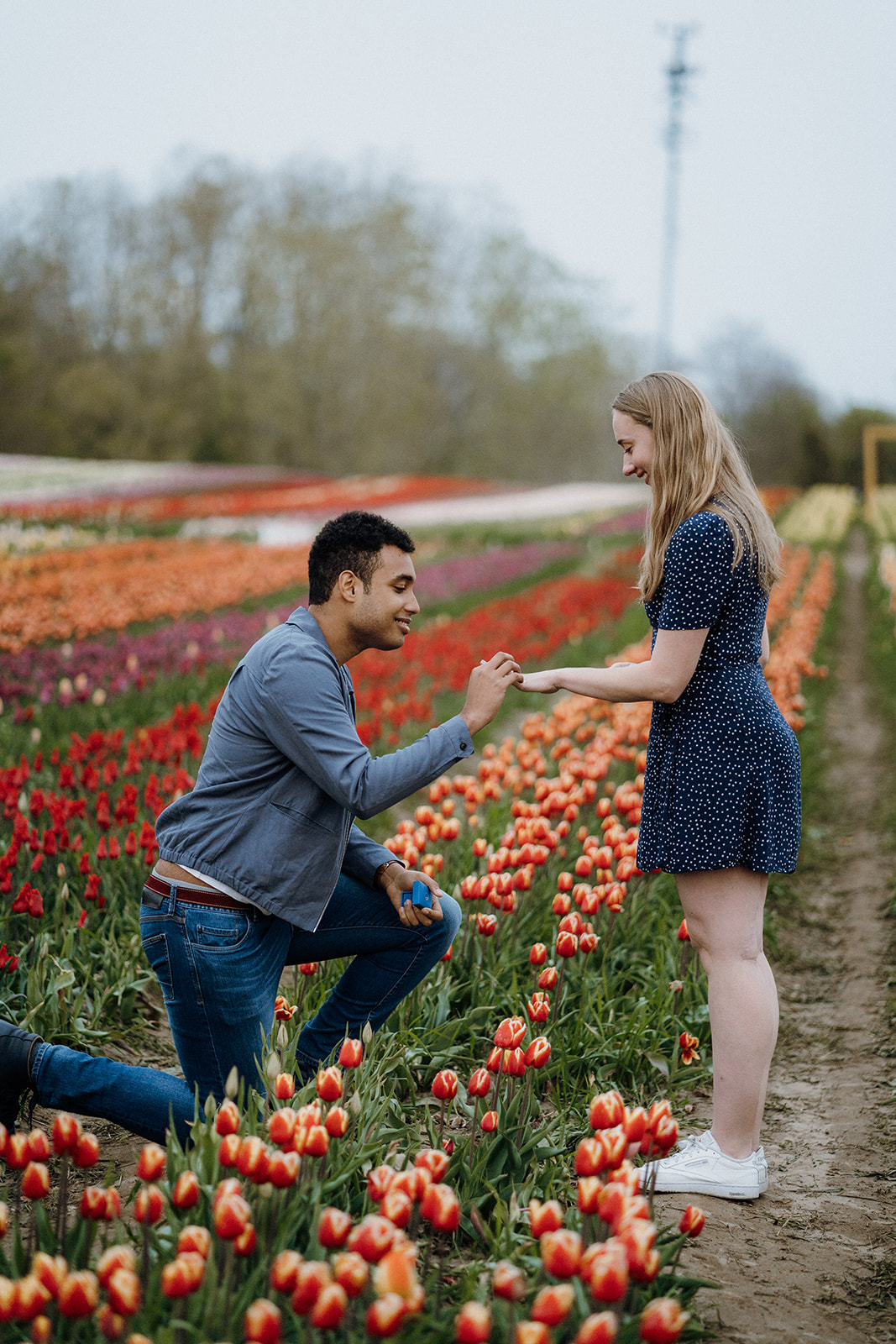 Man kneeling in tulips and putting the ring on his fiancé's finger.