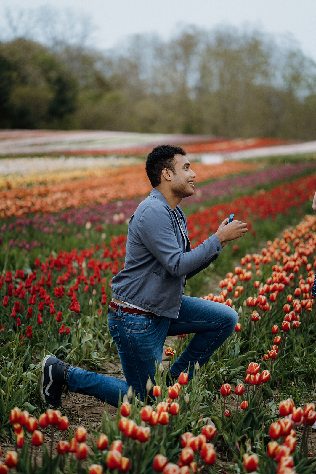 Man kneeling in tulips.