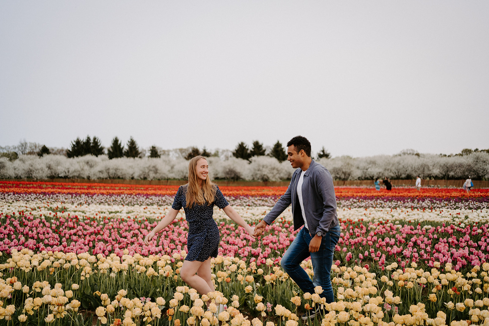 Man and woman holding hands walking in Tulips.