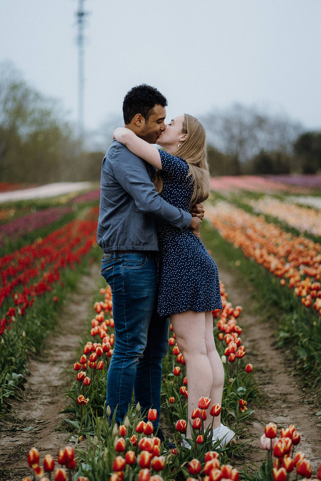Newly engaged couple kissing while hugging each other in tulips.