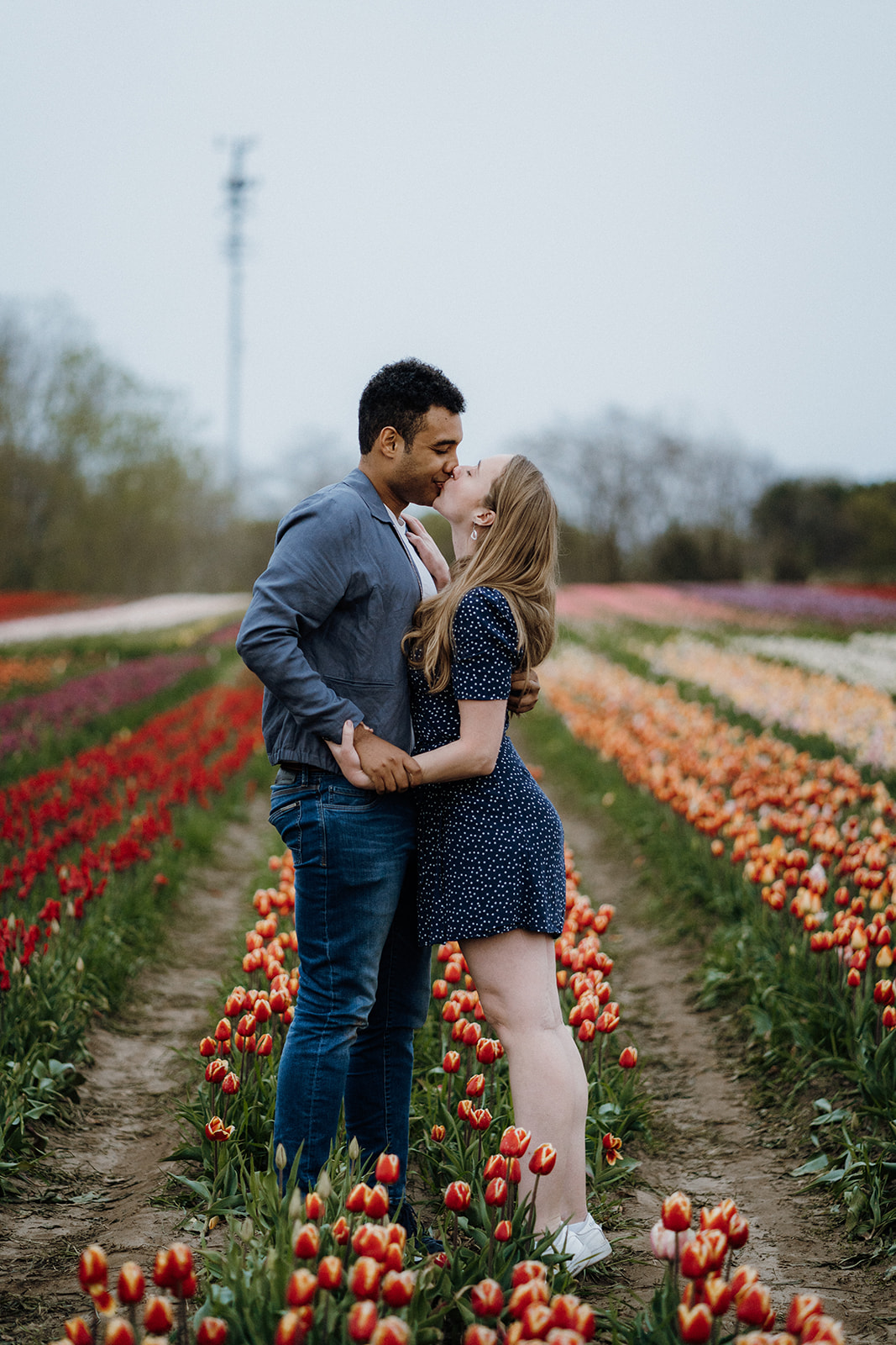 Newly engaged couple standing and kissing in tulips.