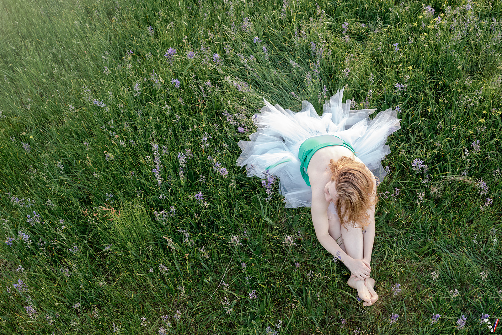 Ballerina on a flowers fields