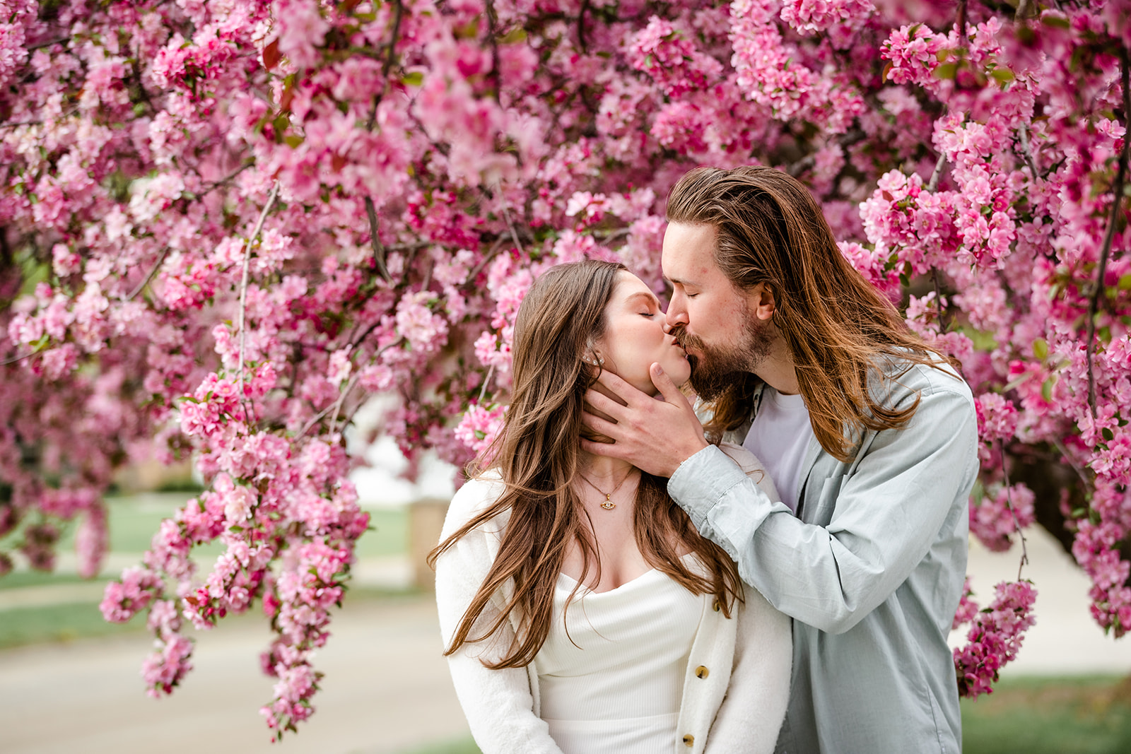 Couple kissing in front of blooming purple tree