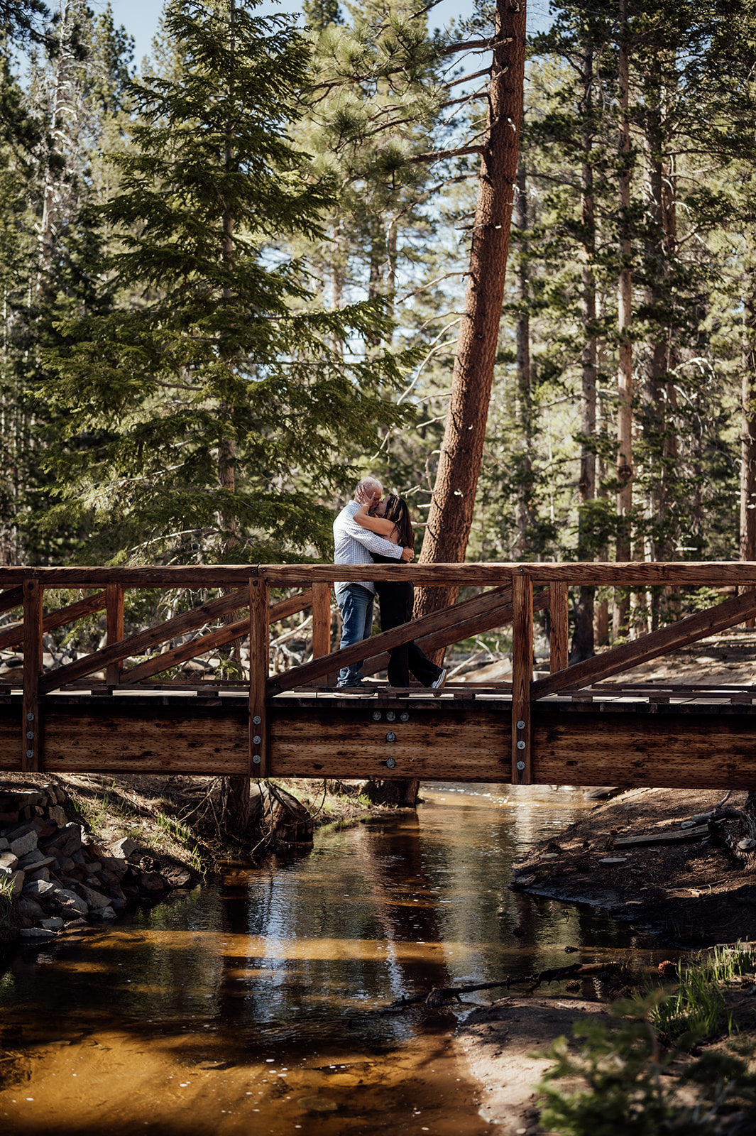 Couple kissing on a bridge with very tall trees behind in Mount San Jacinto State Park in California