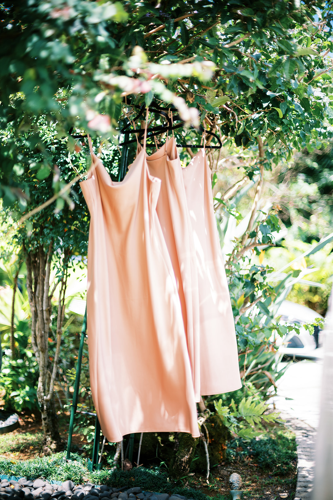 An elegant peach-colored dress hanging from a tree in a garden setting Wedding at Na ‘Āina Kai Botanical Gardens