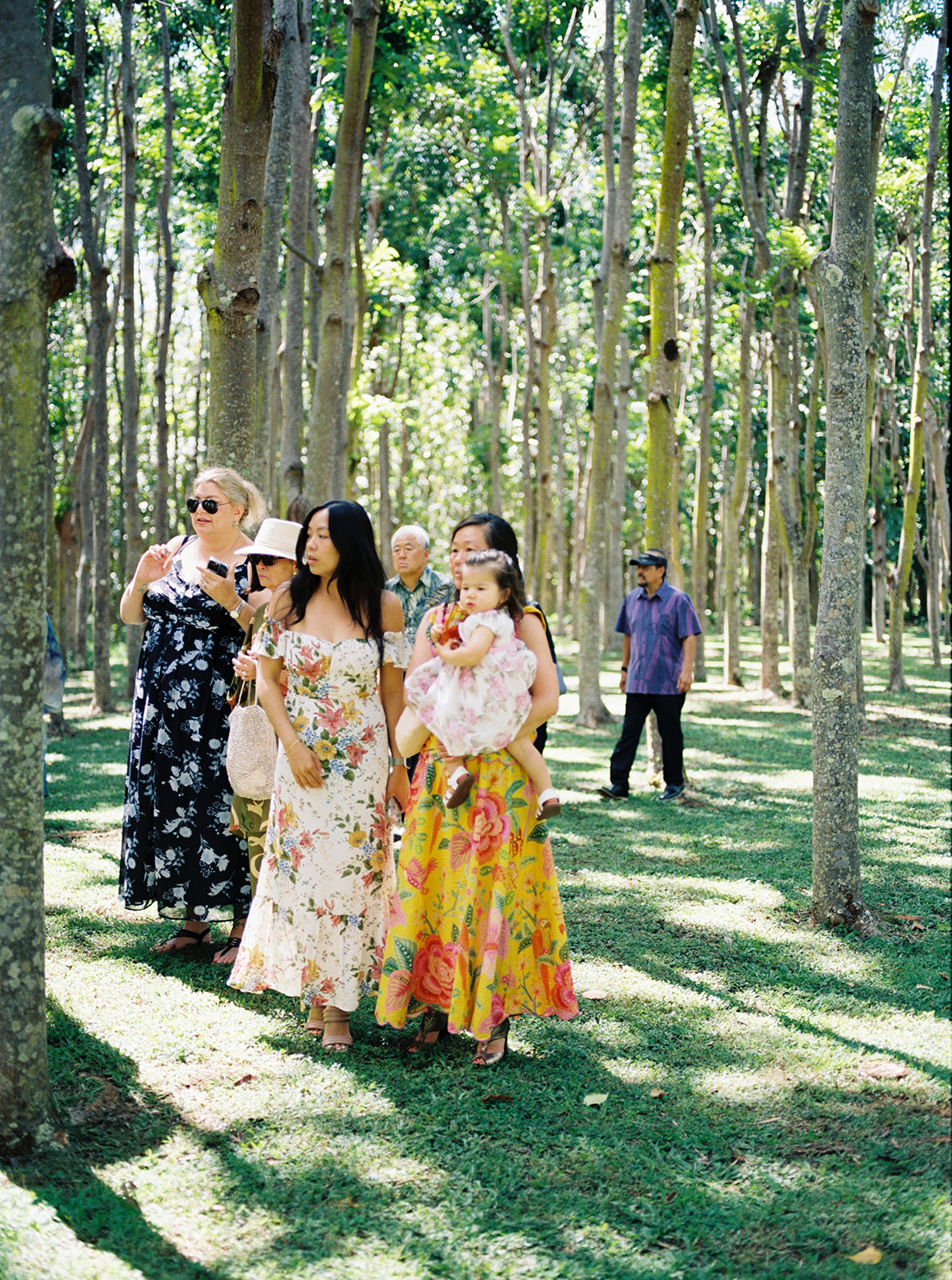 A group of elegantly dressed people walking through a sunlit grove of tall trees in Wedding at Na Aina Kai