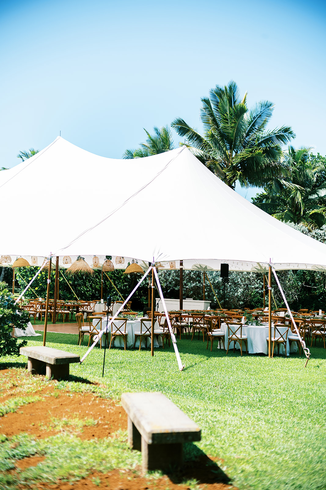 An outdoor event setup with a large white tent, wooden benches, and tables on a lush green lawn surrounded by palm trees