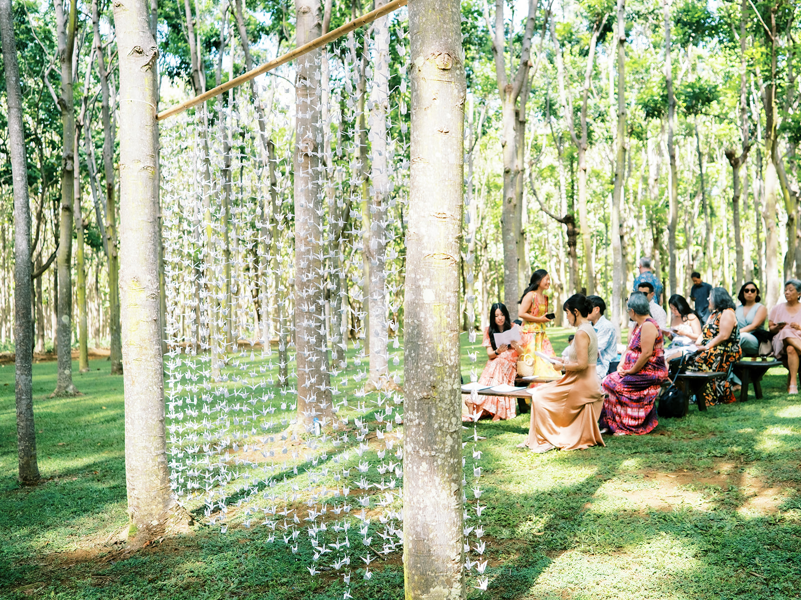 Outdoor gathering with people seated near a decorative hanging installation among trees Wedding at Na Aina Kai
