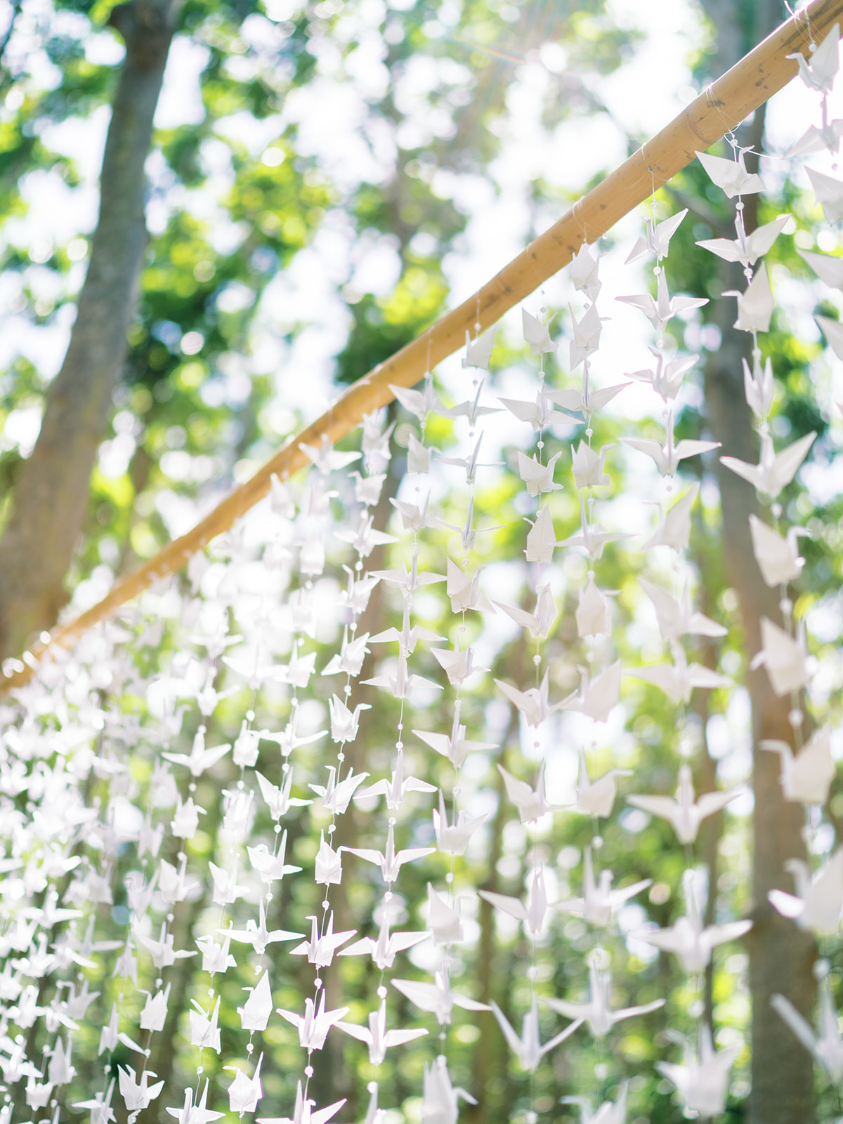 A serene outdoor setting featuring strings of paper cranes hung amongst trees with dappled sunlight filtering through
