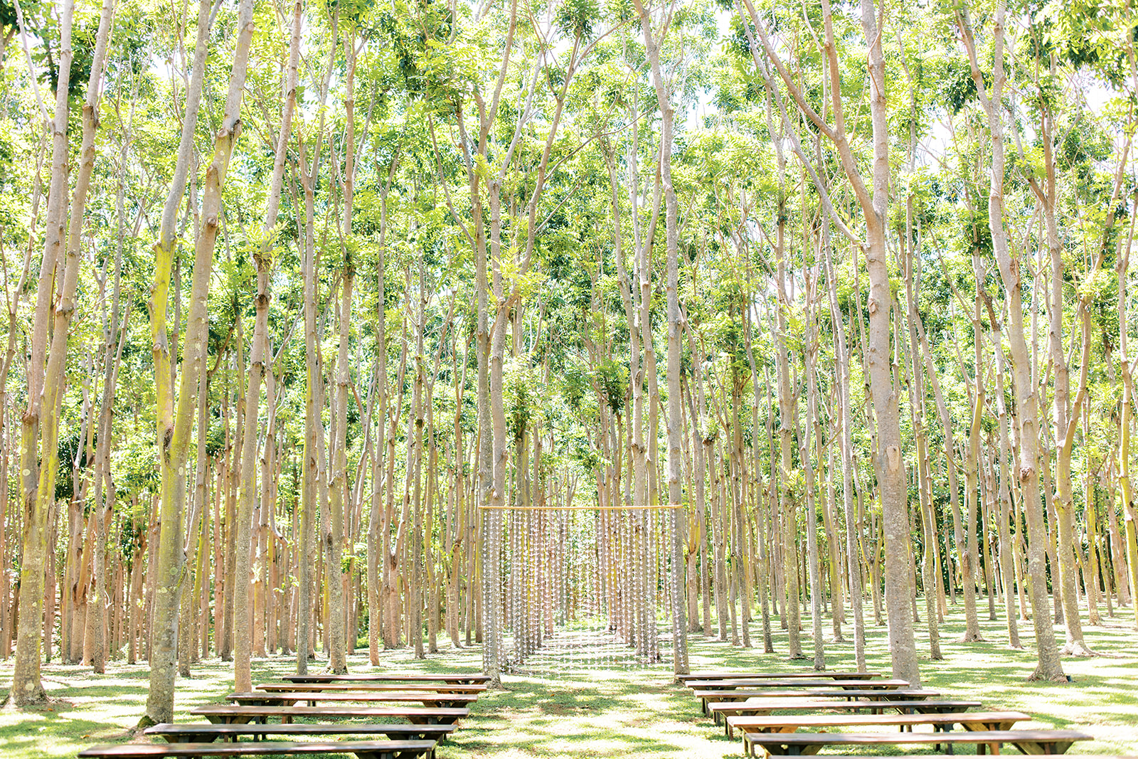 Wedding at Na ‘Āina Kai Botanical GardensOutdoor venue set up with wooden benches and a gazebo surrounded by tall trees
