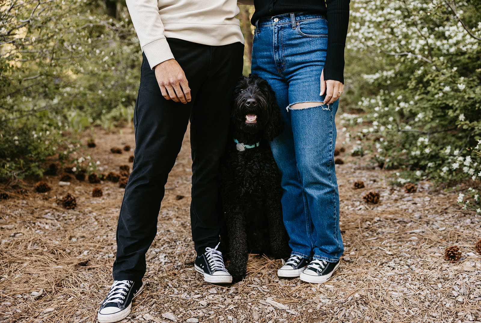 Dani Rawson Photography, a Tahoe-based Engagement Photographer, shares summer engagement session in North Lake tahoe