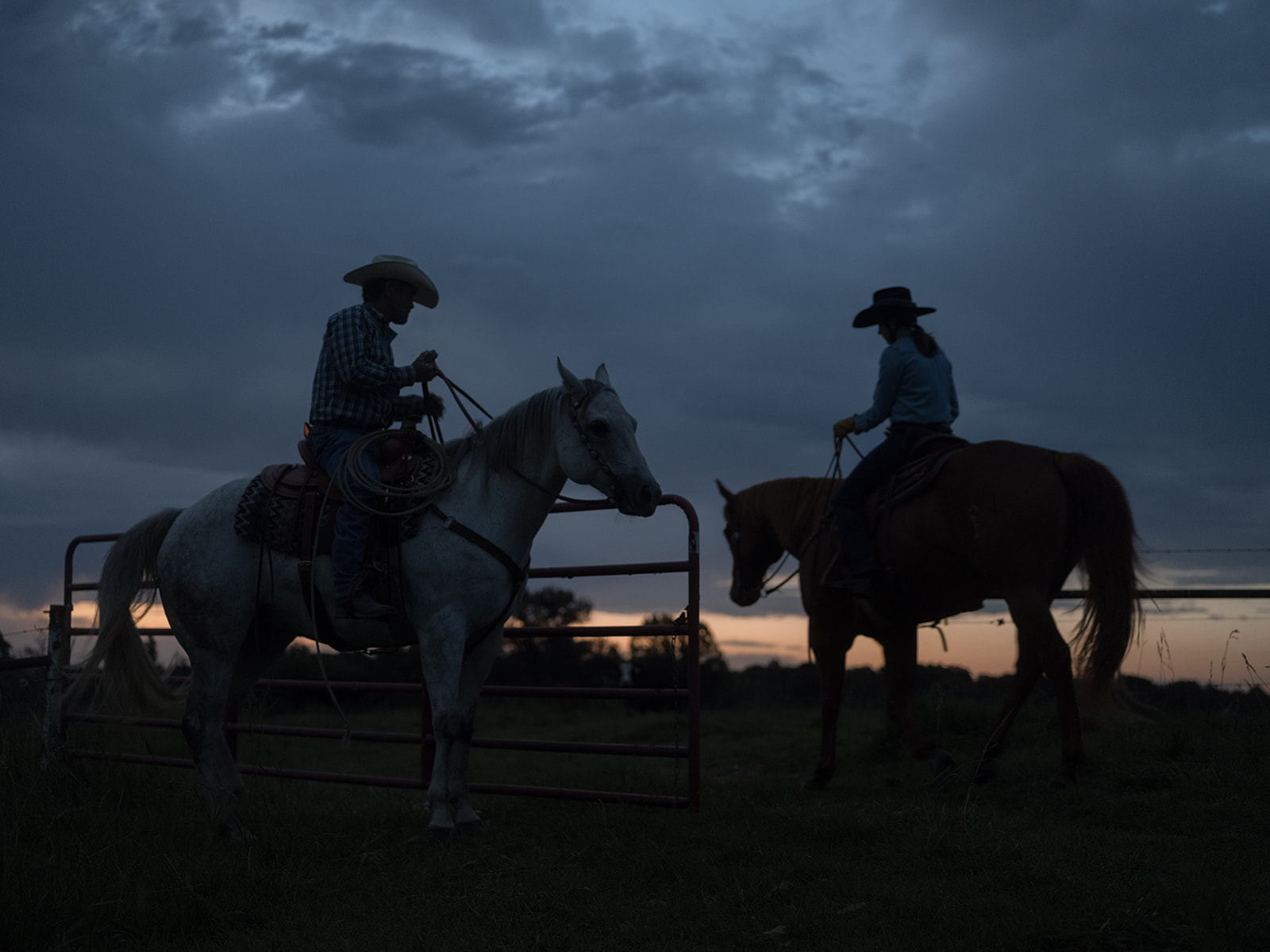 cowboys working at sunrise on the 808 ranch in missori