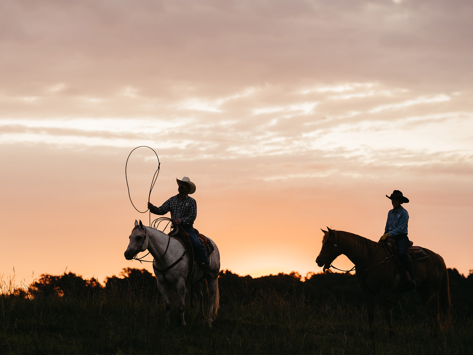 sunrise cattle work, cowboys in Missouri at the 808 ranch