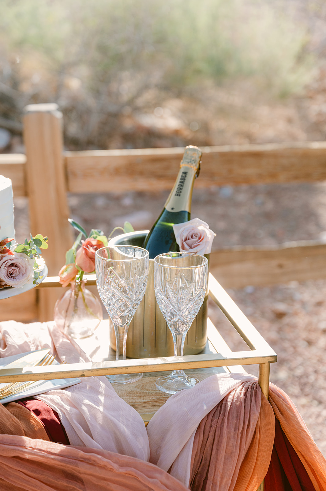 champagne in bucket on bar cart wedding