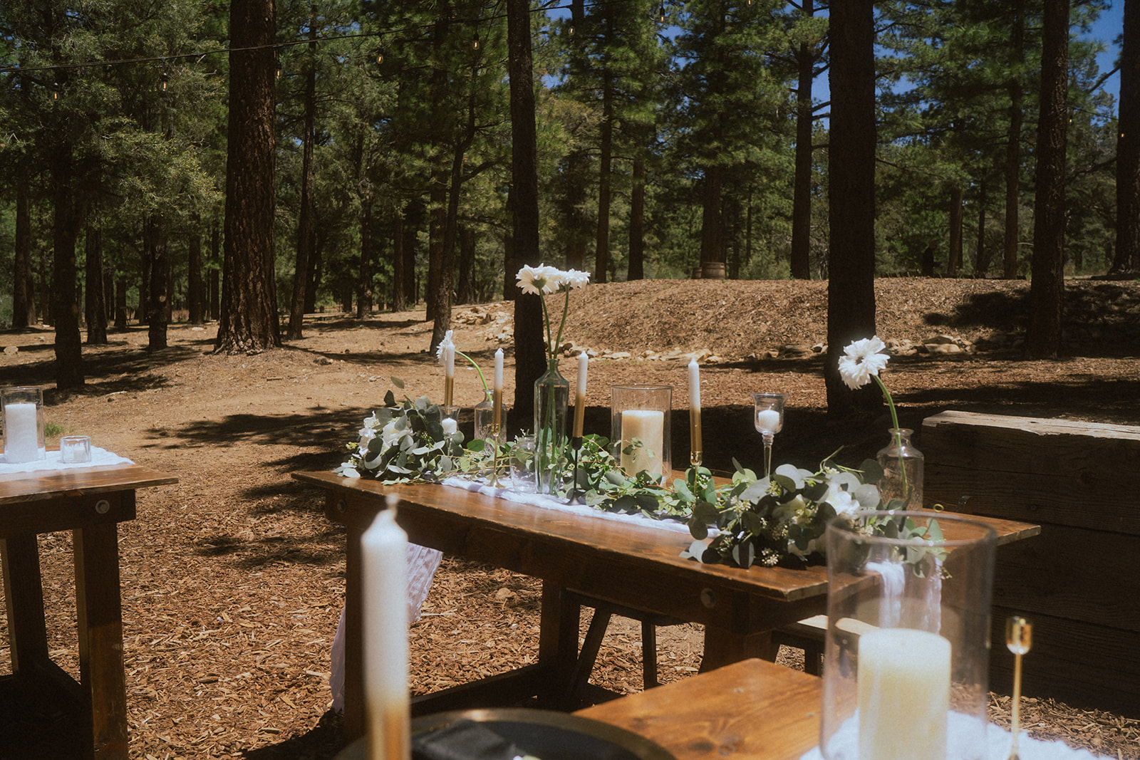 moody forest wedding photos in Southern California 