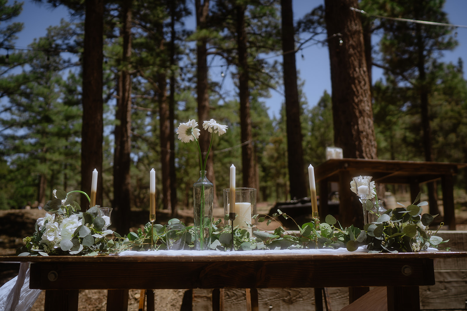 moody forest wedding decor