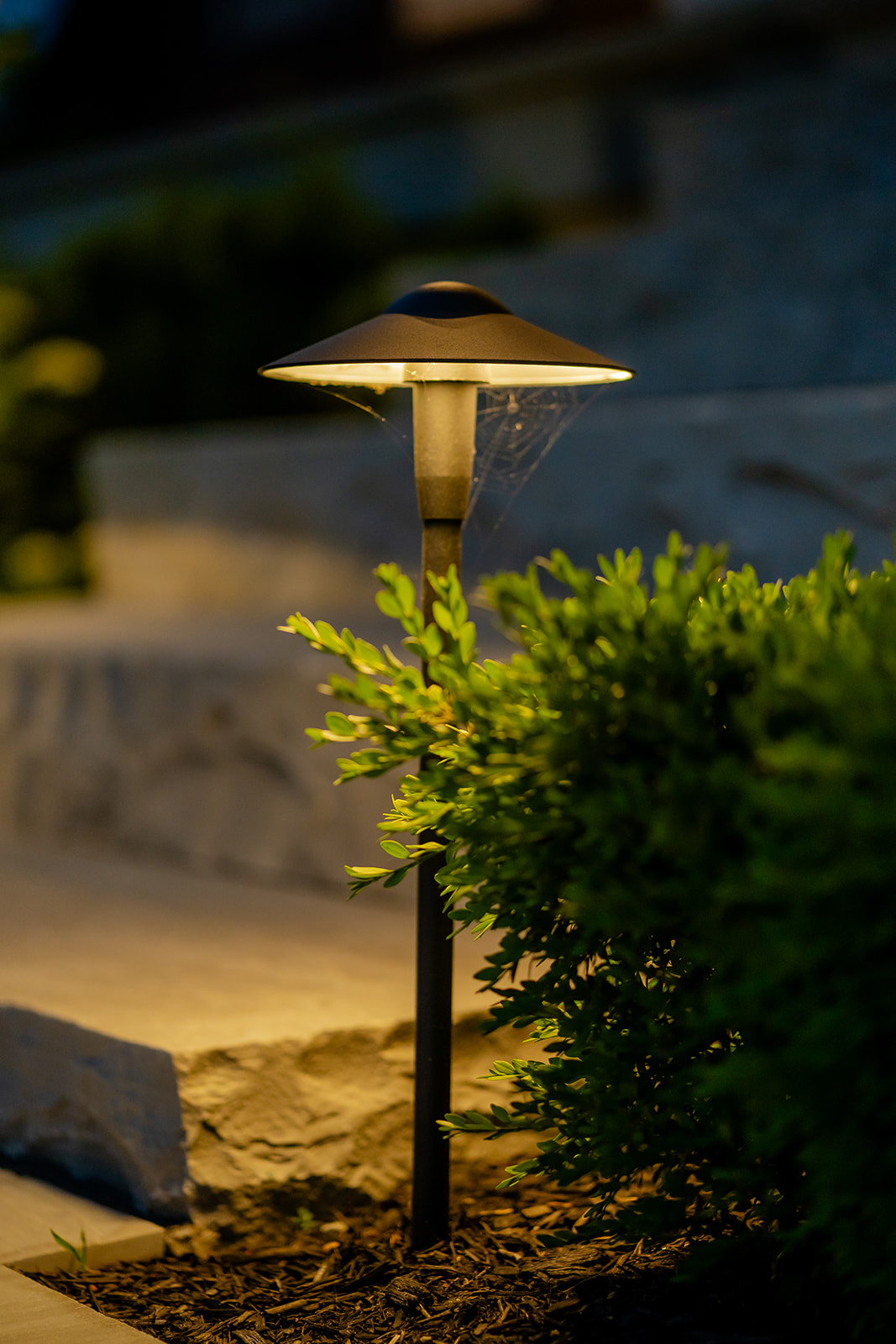A lamp post that is in the garden that's turned on.
