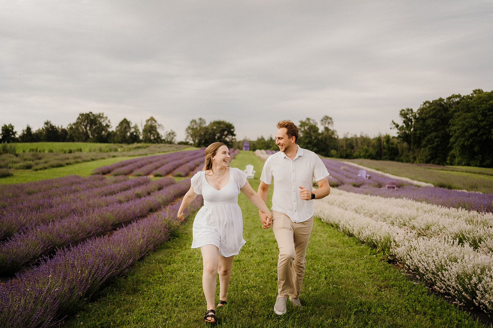 Man looking at woman holding hands while walking next to a field of lavender.