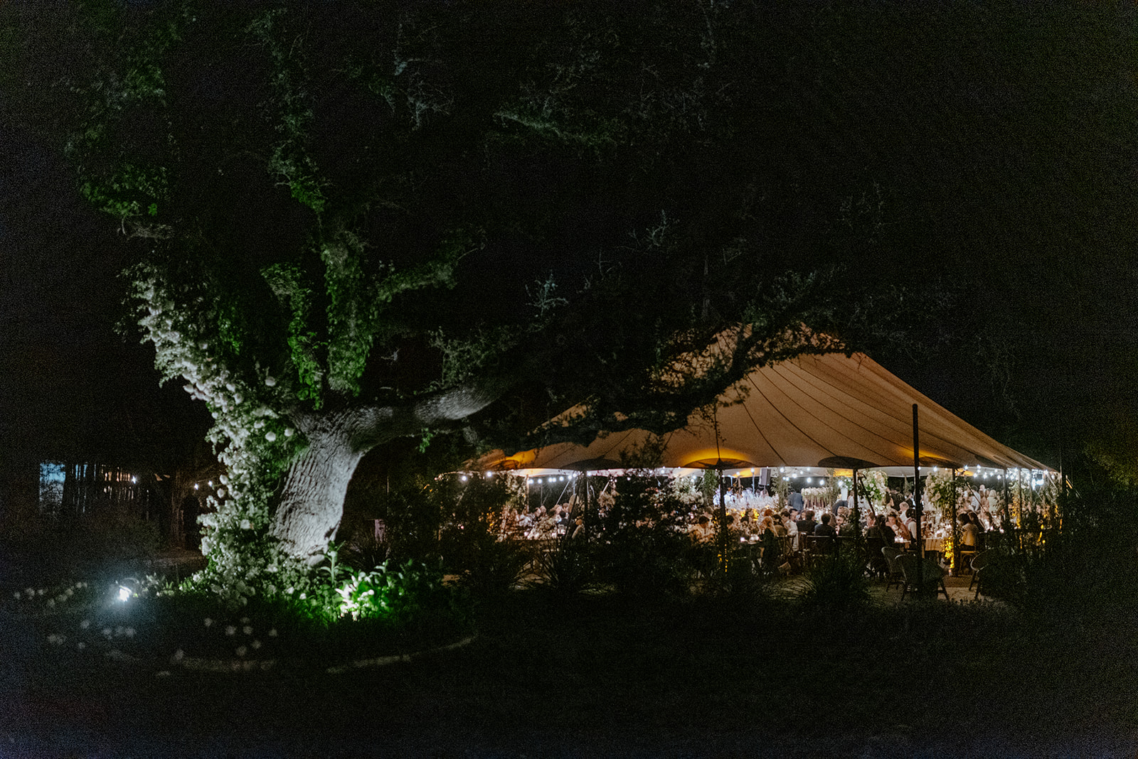Luxury tent Wedding at the Greenhouse in Driftwood