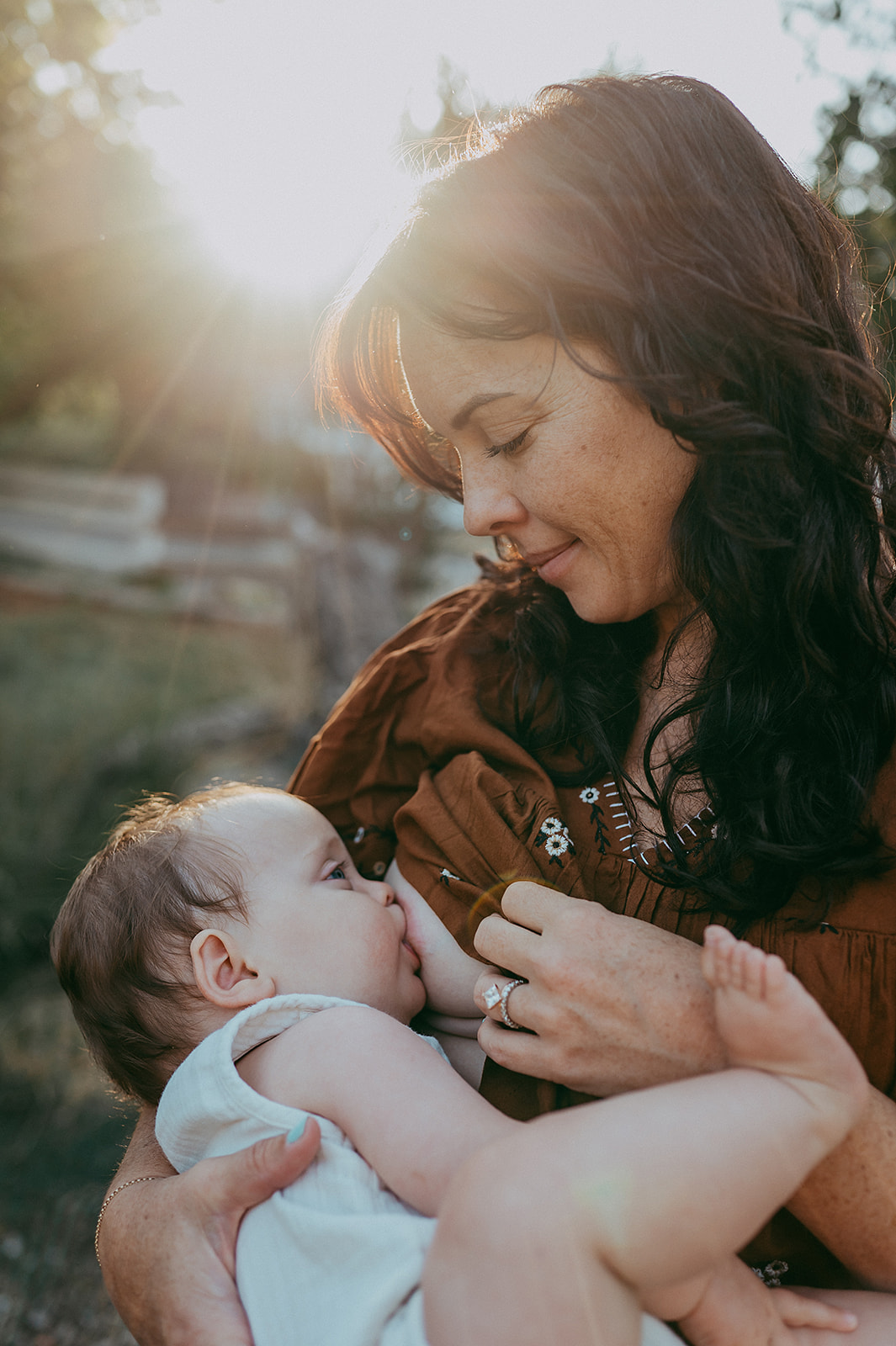 Mother and baby breastfeeding in golden hour light photo by Sunshine Lady Photography