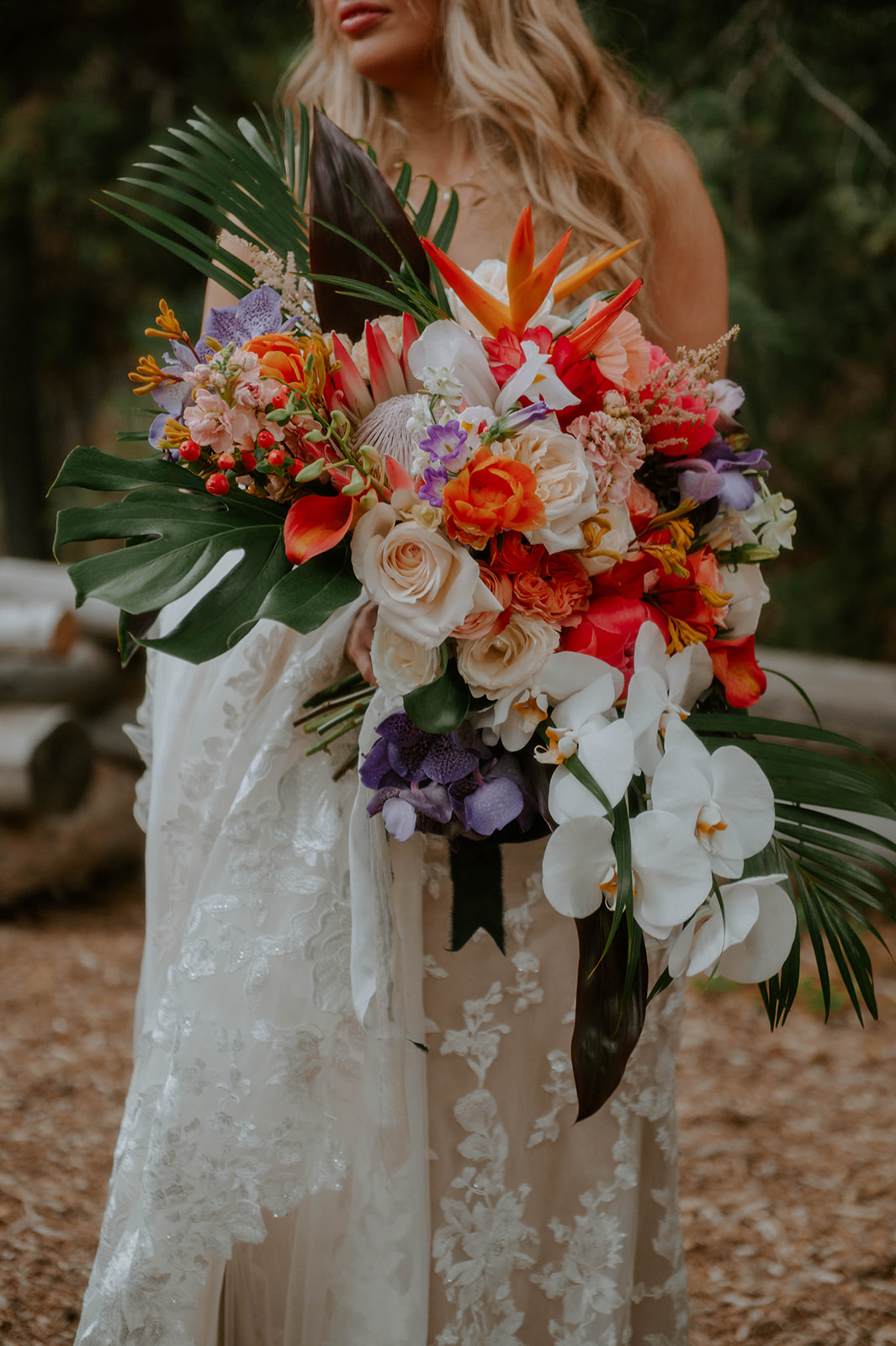 Tropical spring wedding bouquet with a protea, palm, and orchids.