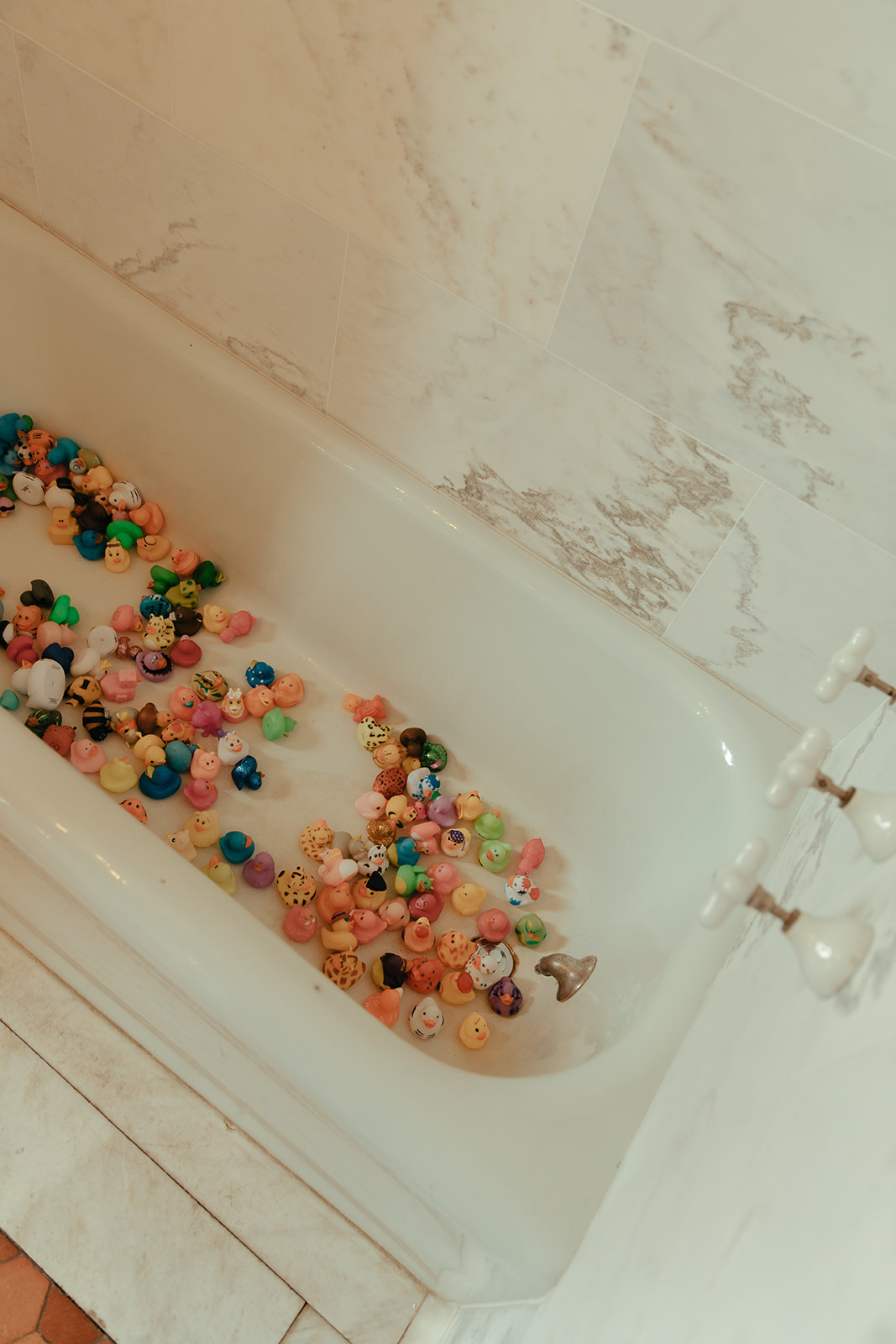 Rubber duckies in bathtubs at Villa Terrace