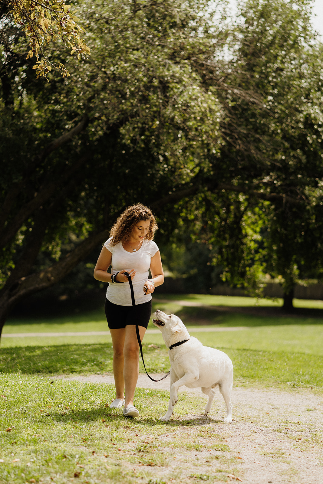 A lady walking a dog on a leash.