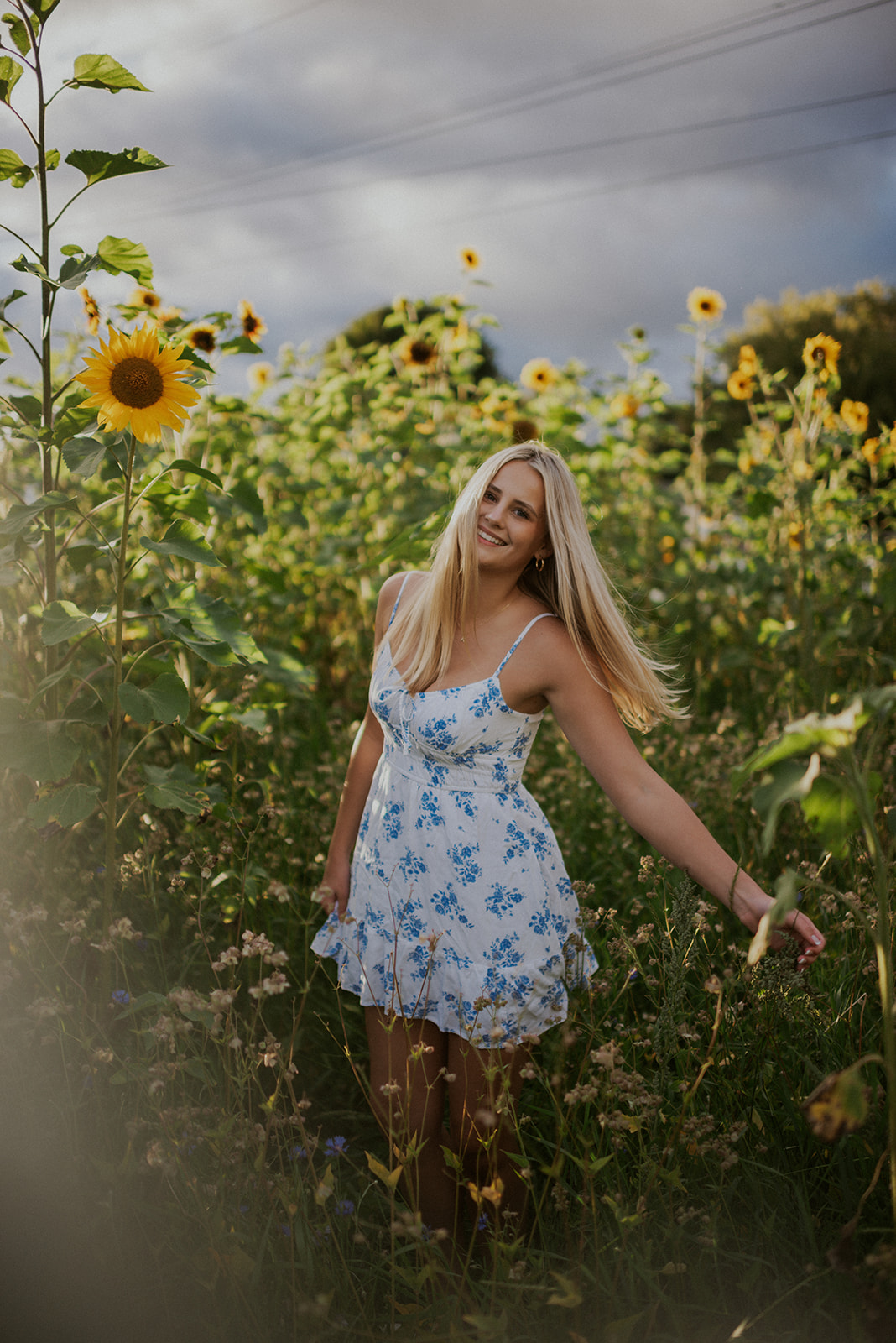 northern michigan senior session in a flower field