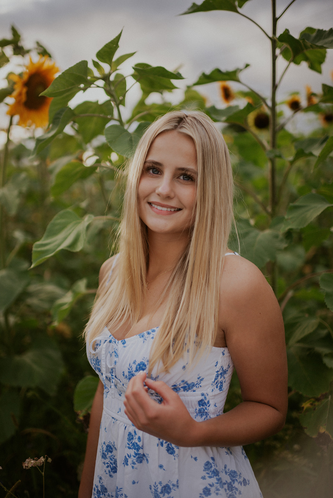 northern michigan senior session in a flower field
