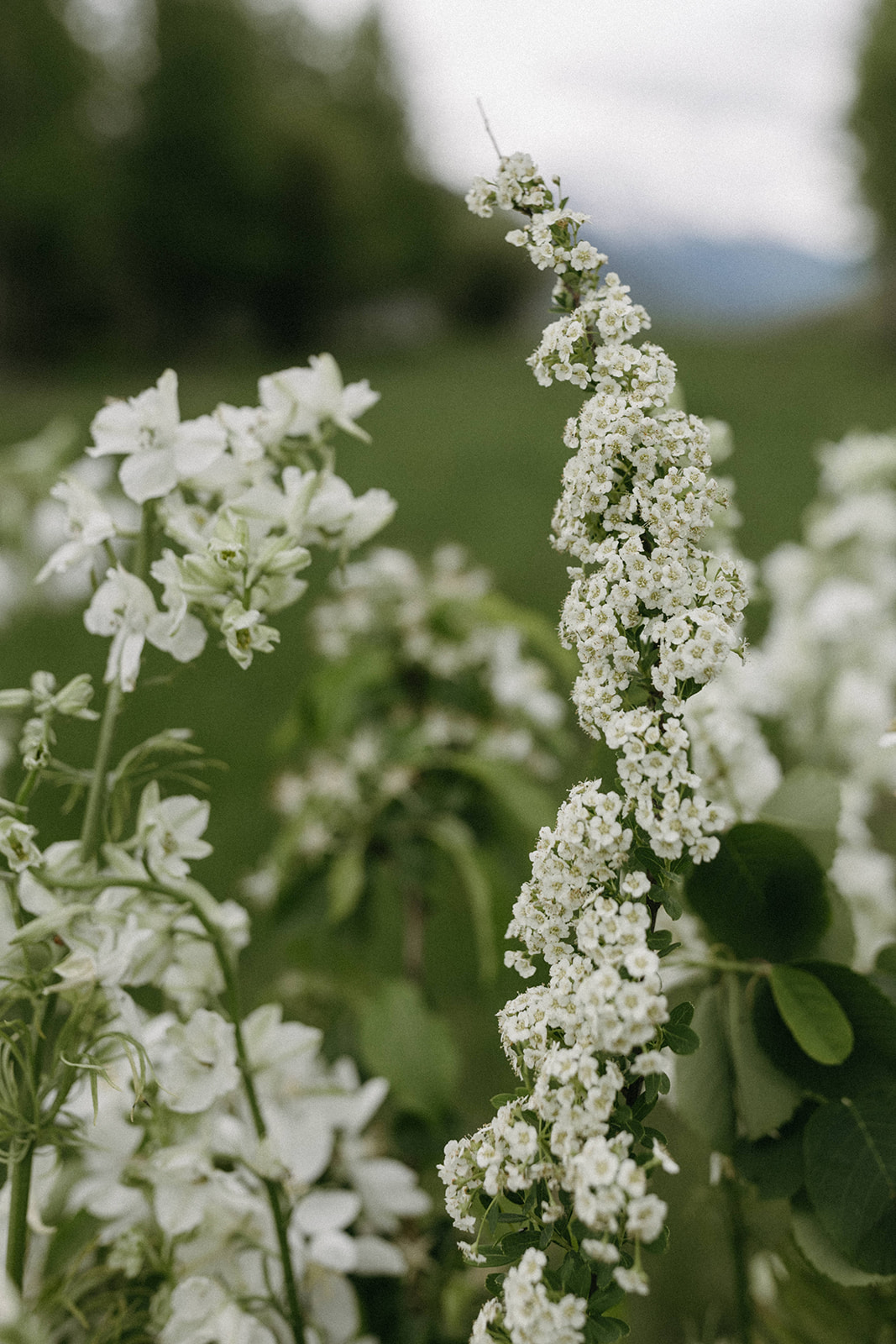 Elegant white wedding florals by Magnolia Ranch Weddings in a Jackson Hole meadow. 