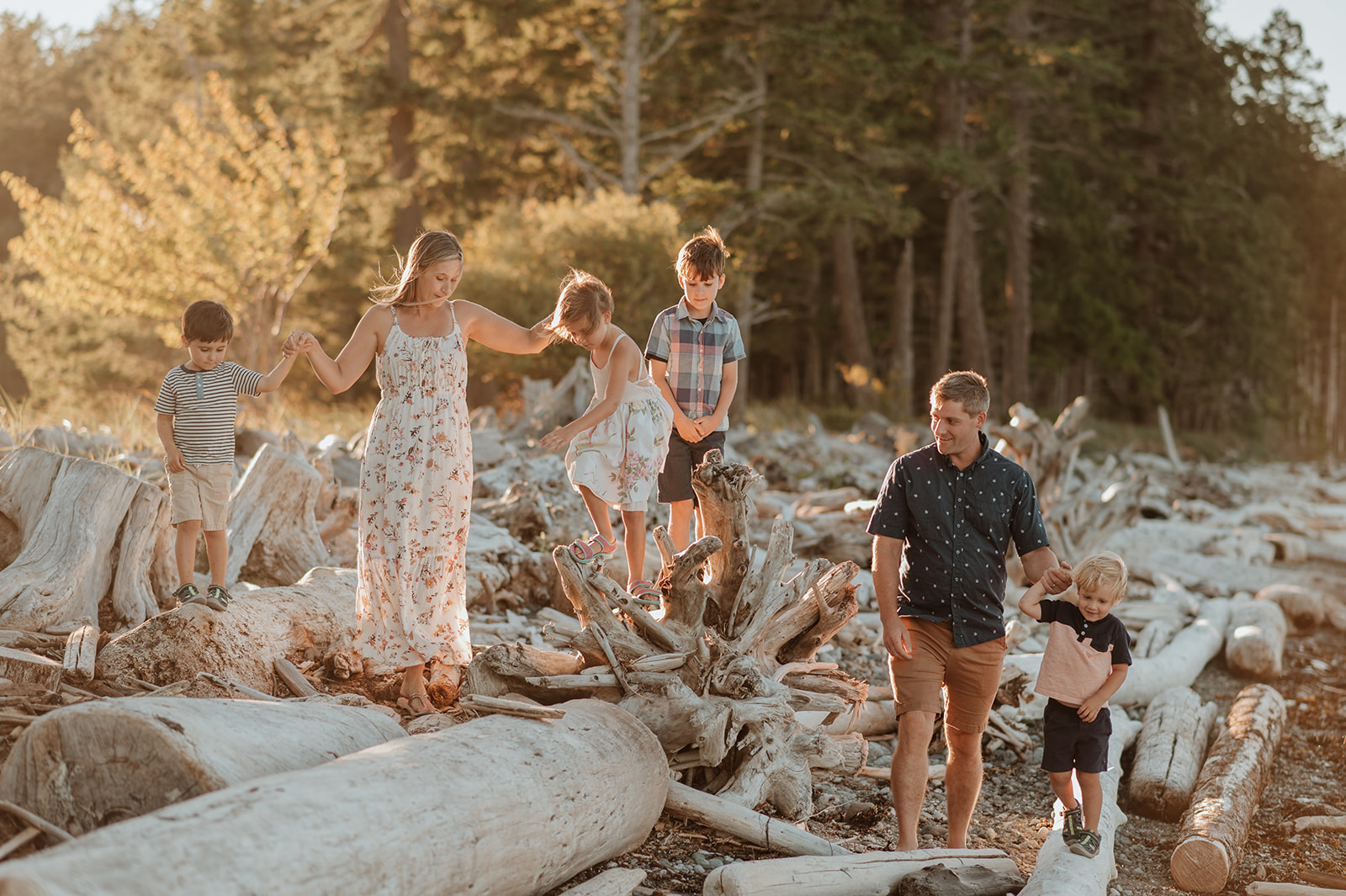 Mom, dad and four kids walking along logs in the sunset during their Vancouver Island Family photography session