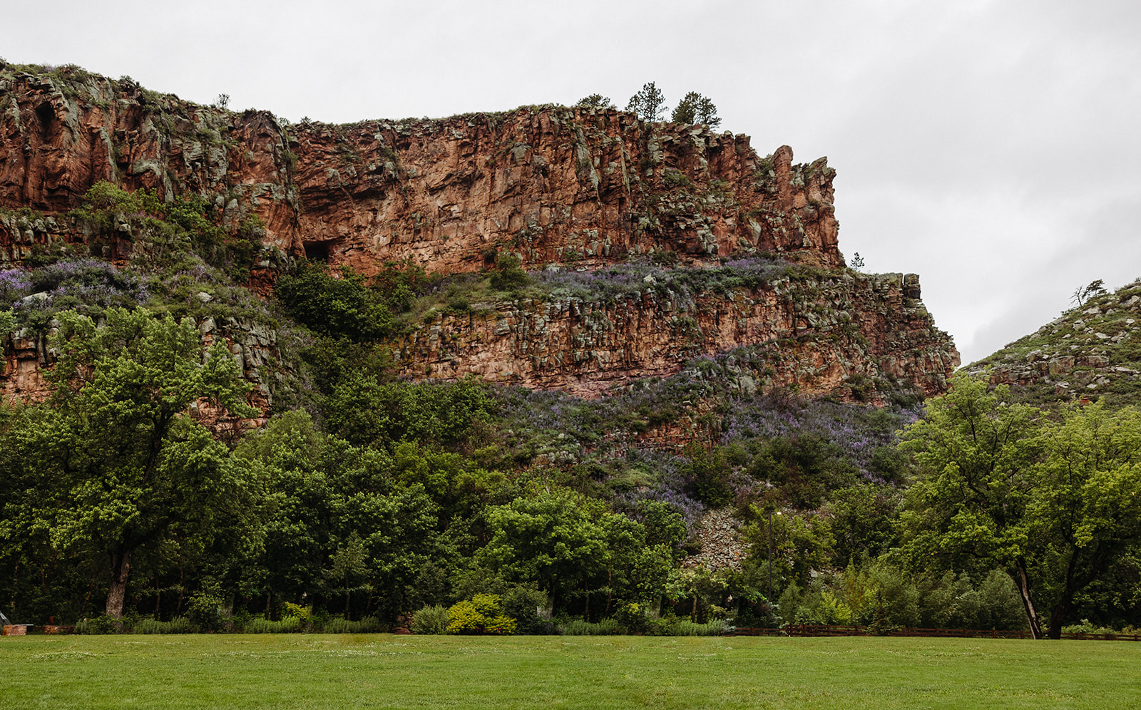 A wide-shot of the dramatic red sandstone cliffs, lush with greenery and purple flowers that pop from the distance.