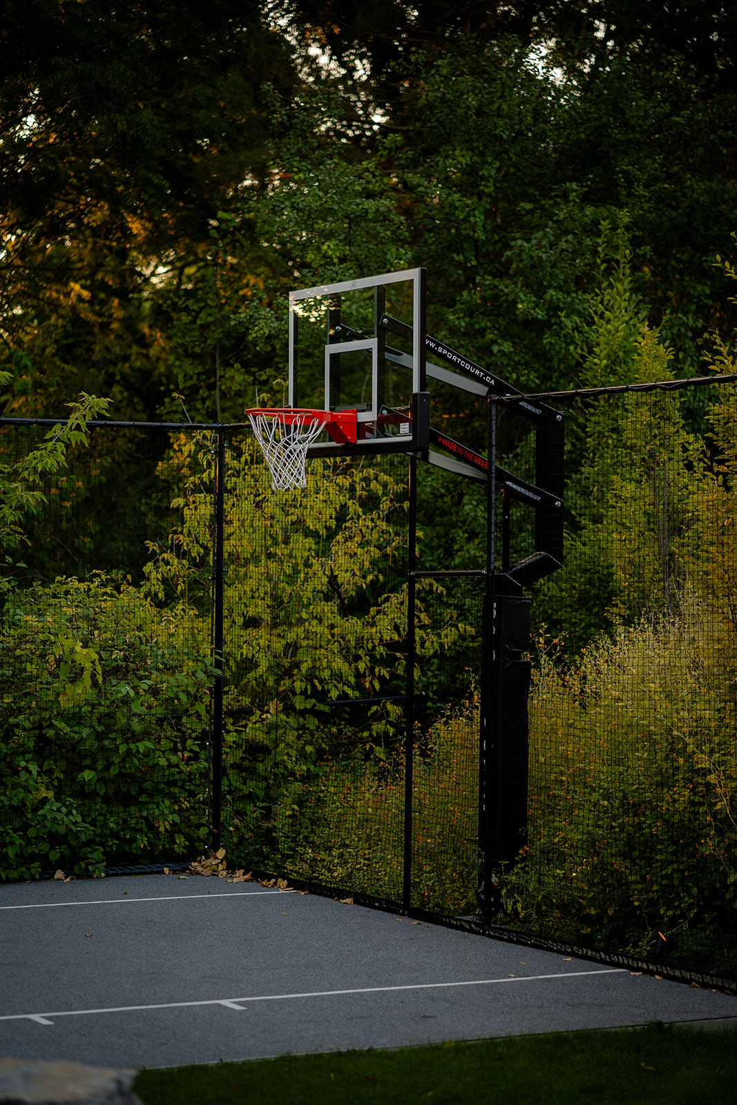 A basketball net along the fence of the property.