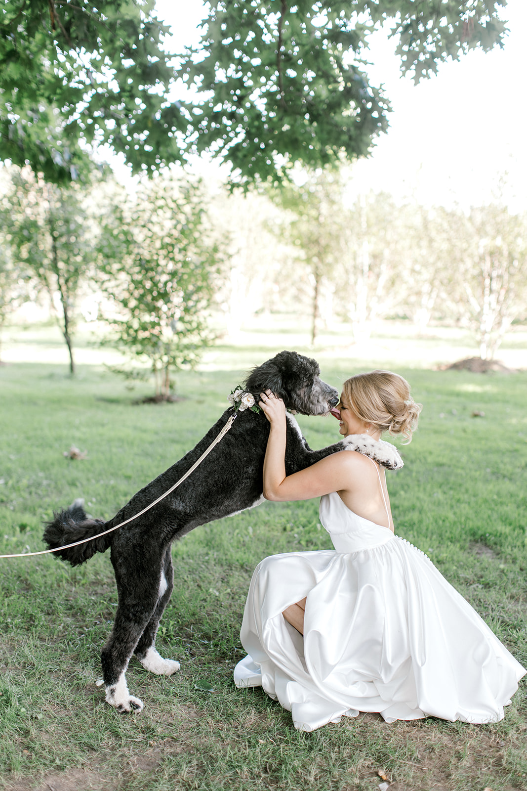 Bride poses with dog at Kurtz Orchard Estate Wedding