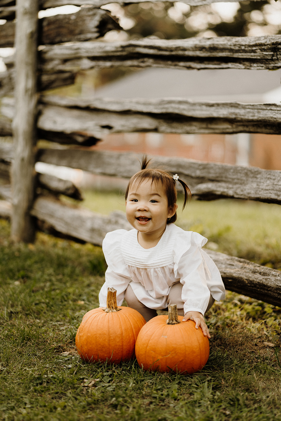 Child touching two pumpkins.