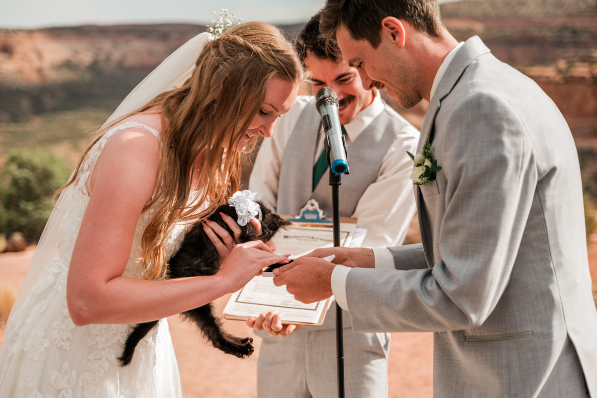 kitten signs marriage license as witness in Colorado