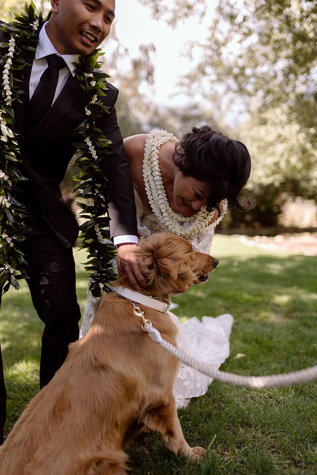 candid image of wedding couple with dog on wedding day at galway downs temecula california